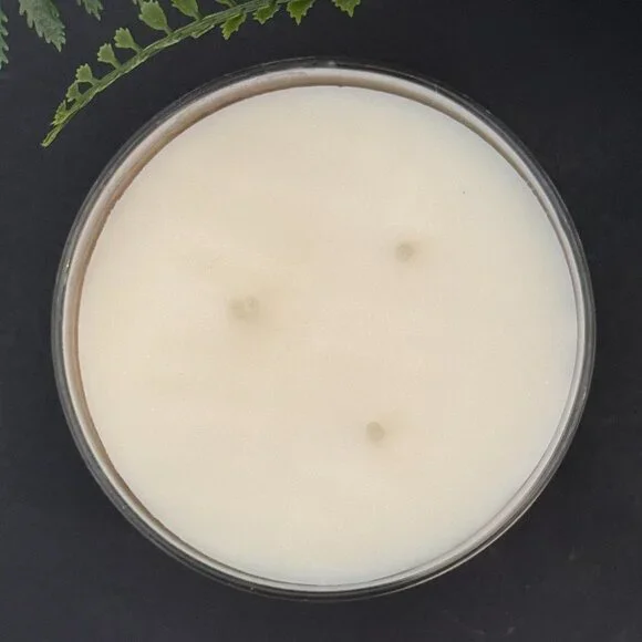 BBW Vacation Villa White Barn Bath & Body Works 3 Wick Candle - Picture 7 of 10